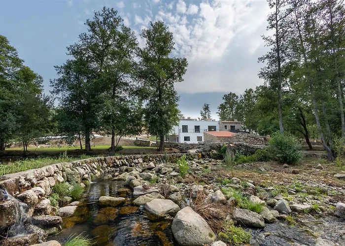 Be Alva * Oliveira do Hospital